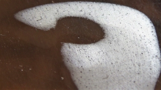 Thumbnail of post image 152