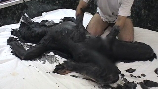 Thumbnail of post image 057