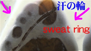 Thumbnail of post image 094