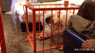 Thumbnail of post image 075