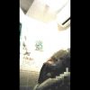 Thumbnail of related posts 184